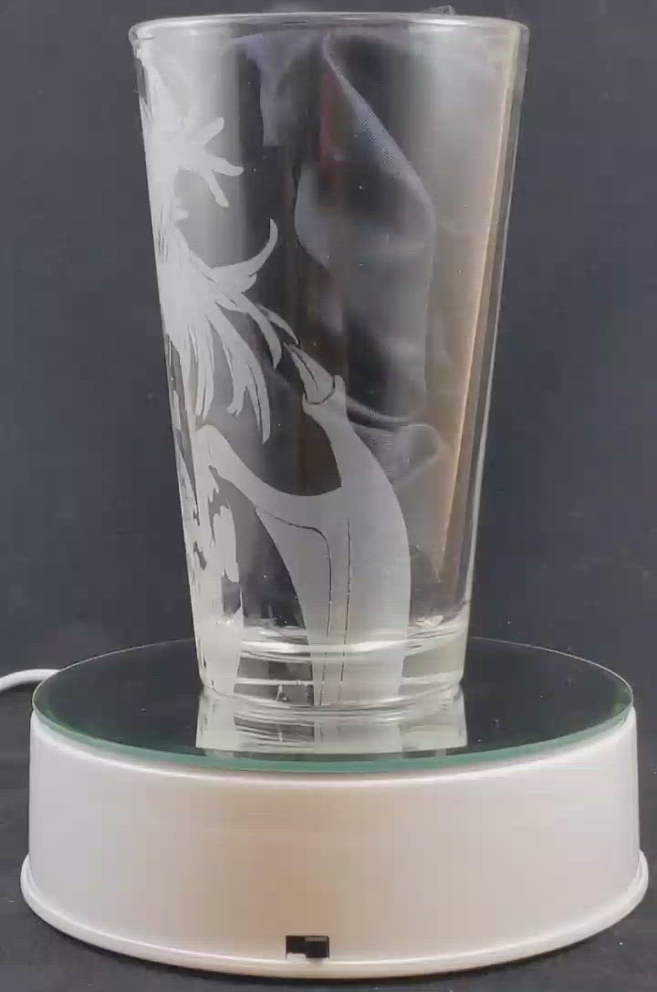 Morrigan from DarkStalkers Laser Engraved Pint Glass